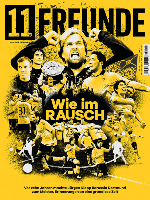 fanartikel von borussia dortmund